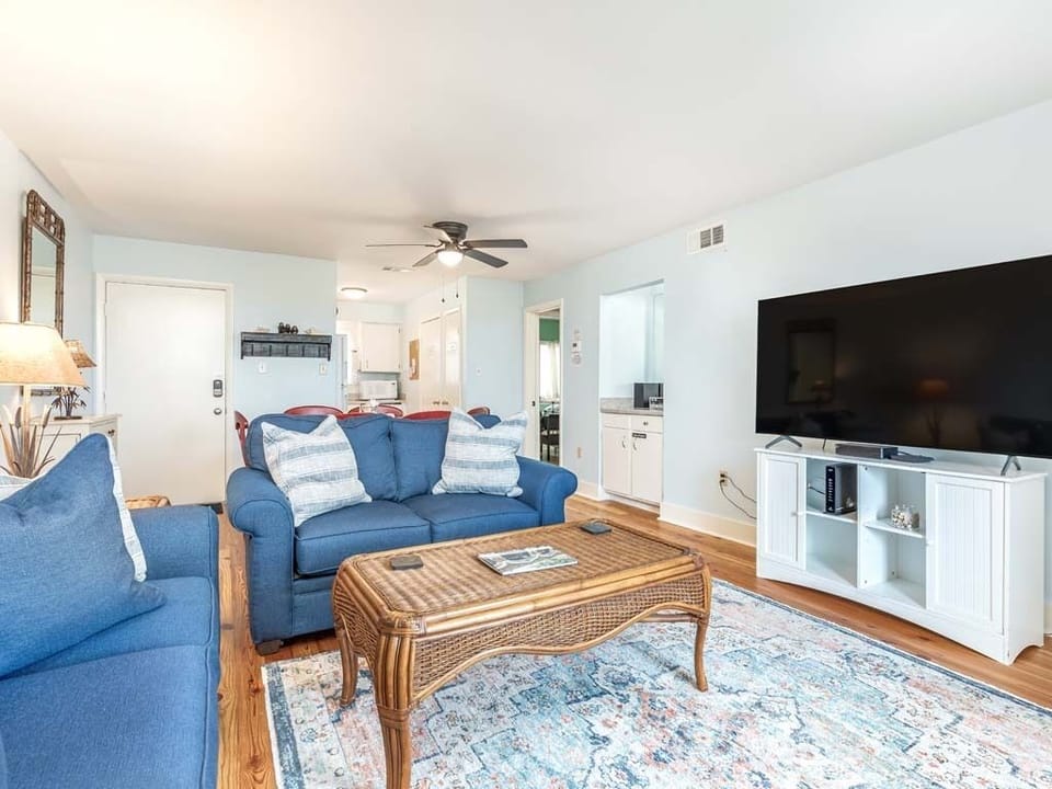 Living area with sleeper sofa and flat screen TV