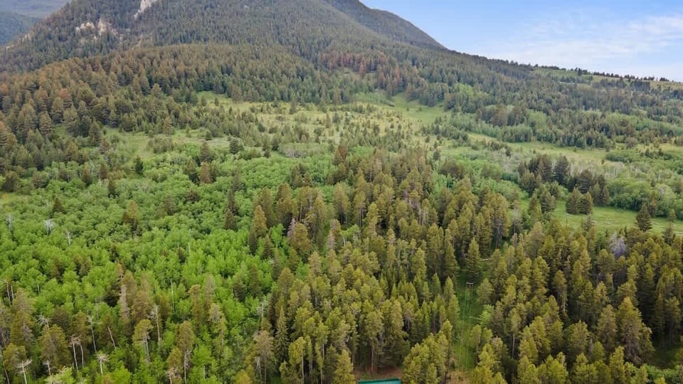 Area Surrounding the cabin