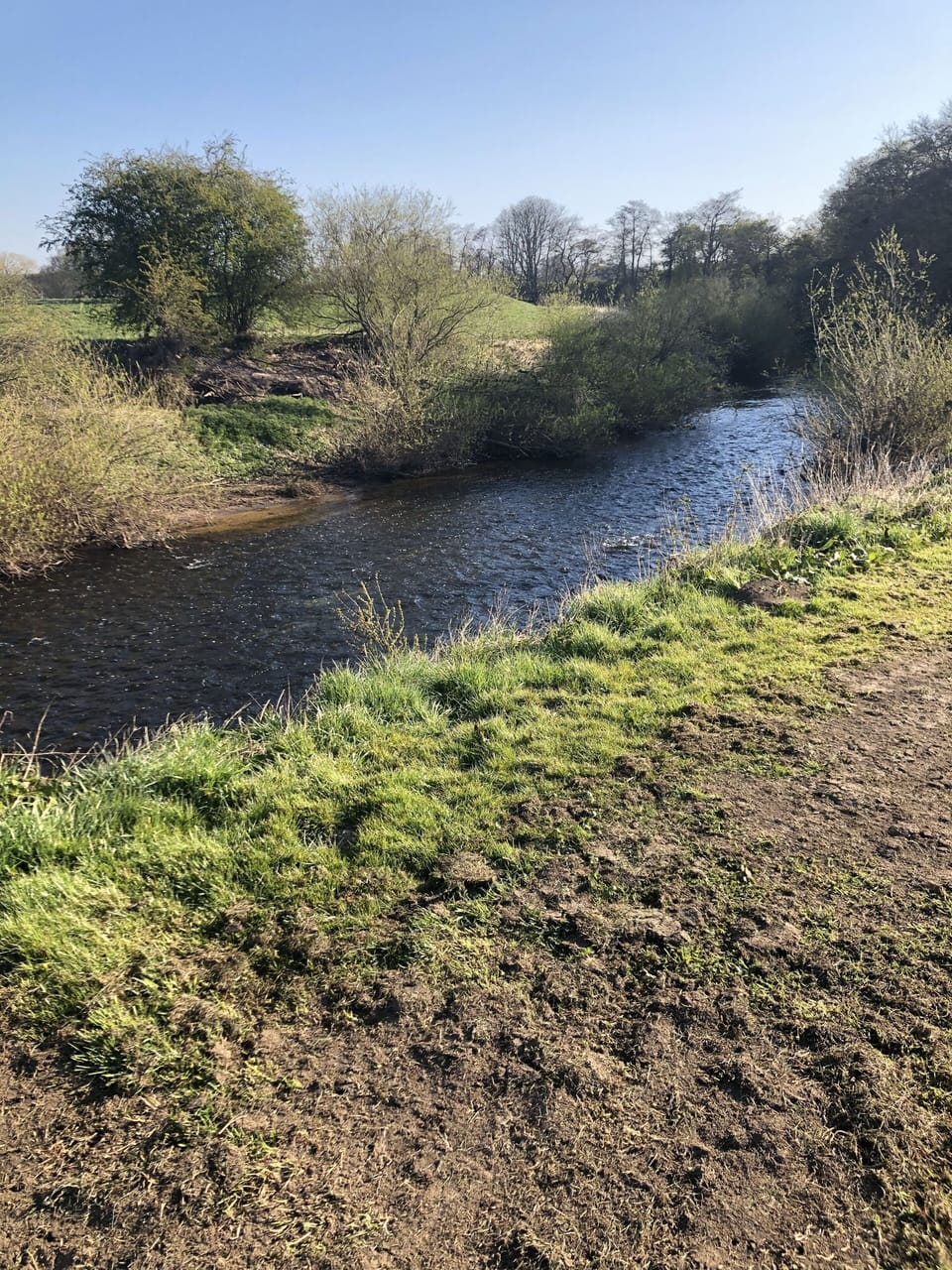Image 29