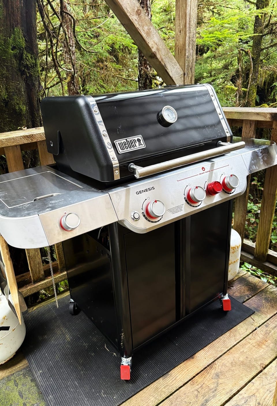 New BBQ