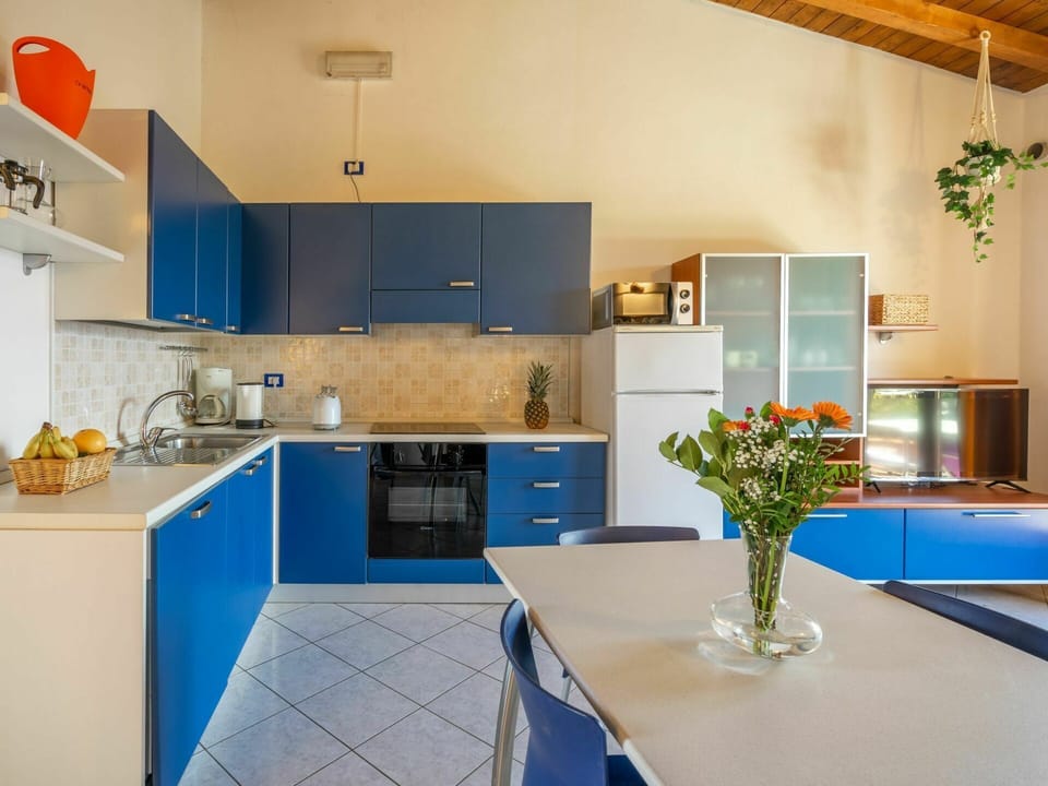 Kitchen Sink, Furniture, Tap, Cabinetry, Building, Property, Sink, Flower, Countertop, Plant