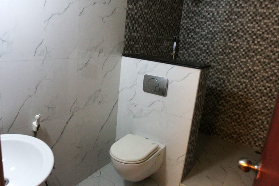 Deluxe Double Room | Bathroom | Shower, towels, soap, toilet paper