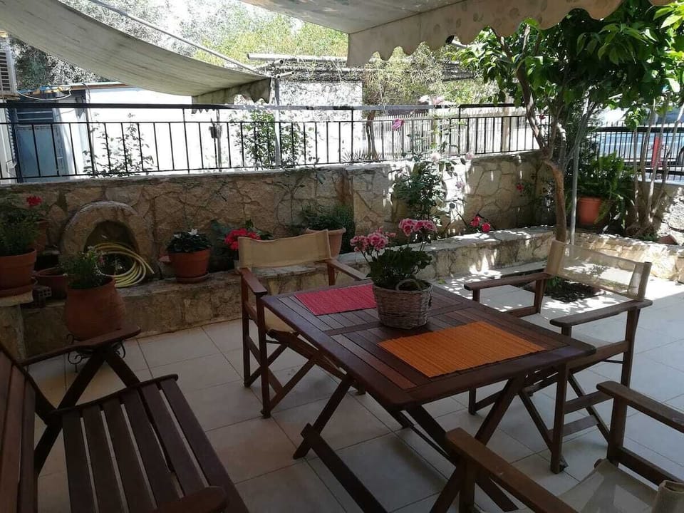 the yard in front of house
