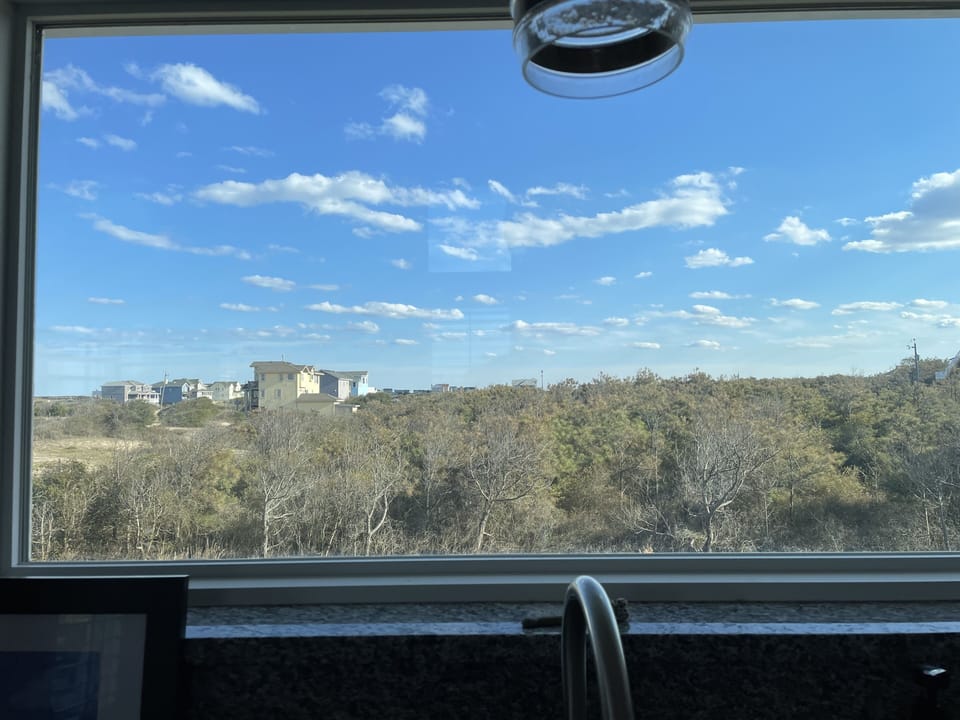 View from kitchen window 