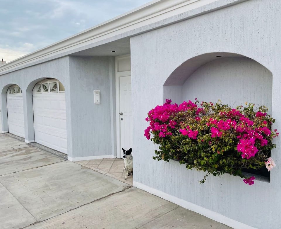 Exterior of Casa Beluga