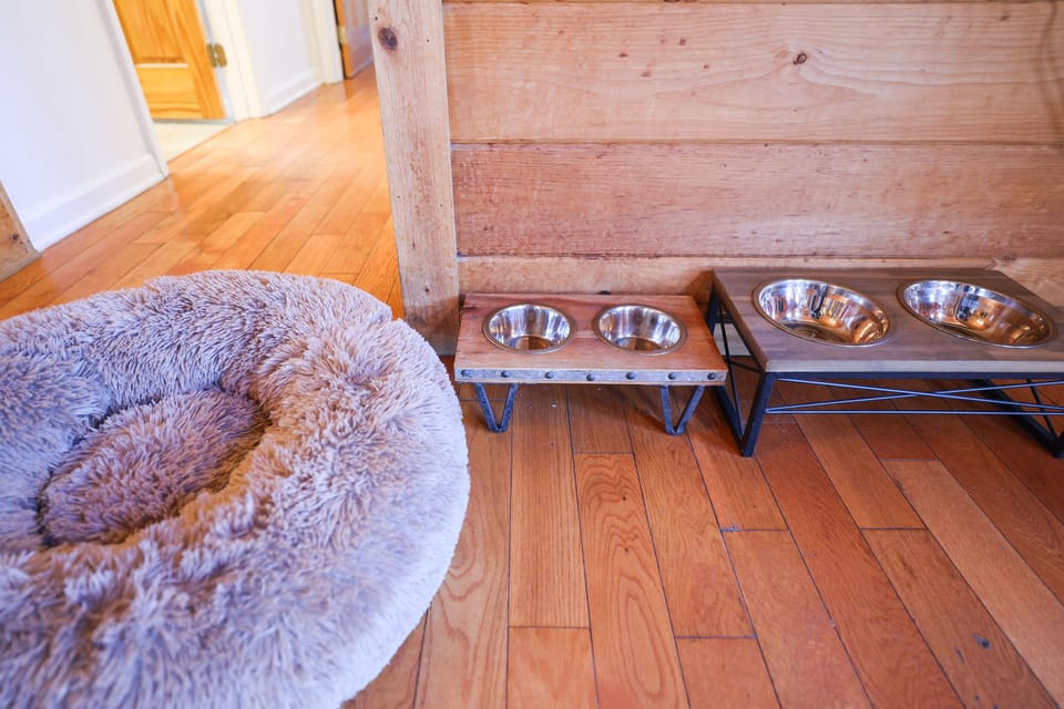 Two sets of dog bowls!