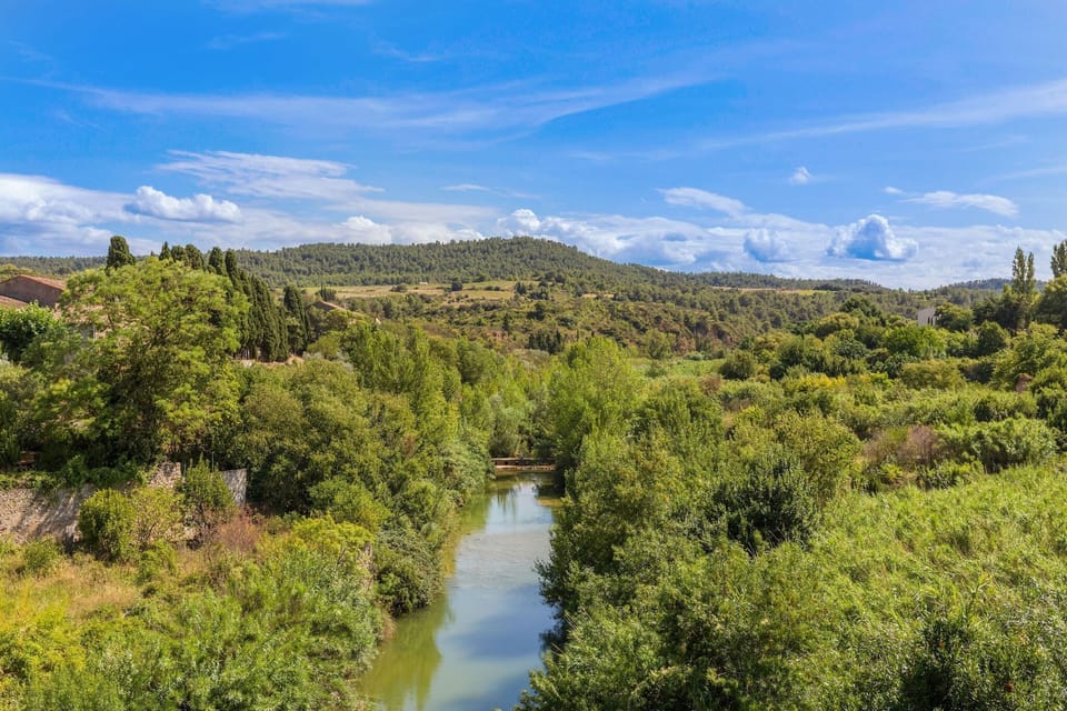 View from Holiday Home [summer]