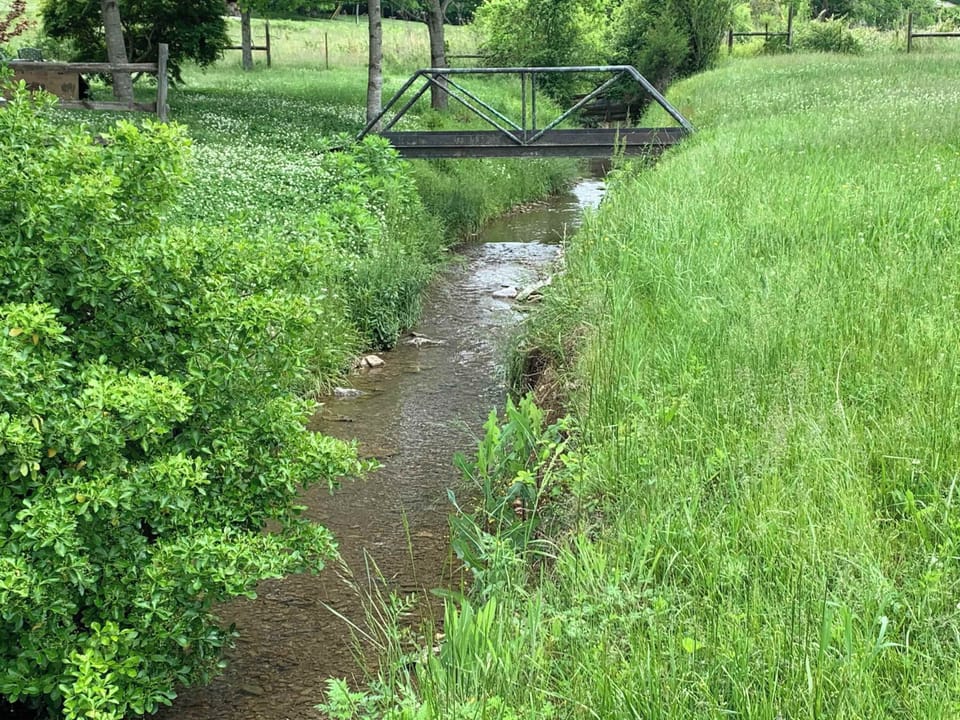 Dave's Creek, a beautiful relaxing part of your stay