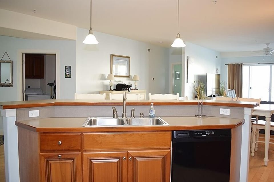 Sink and Dishwasher