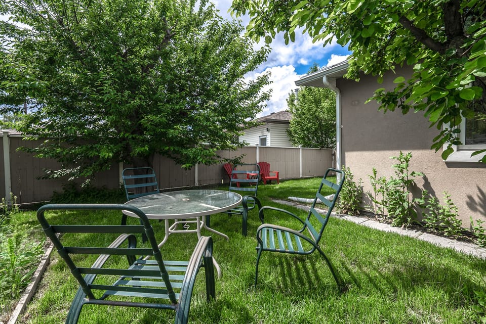 Fenced back yard