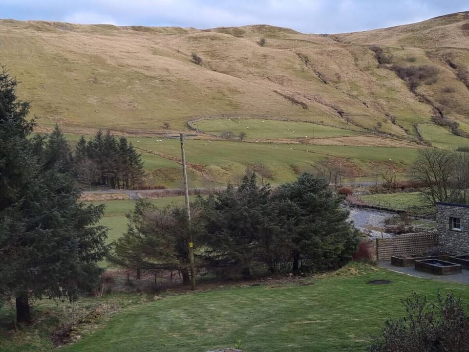 Views from the house