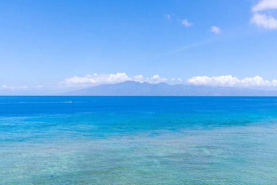Wake up in paradise and enjoy whales breaching during the winter months