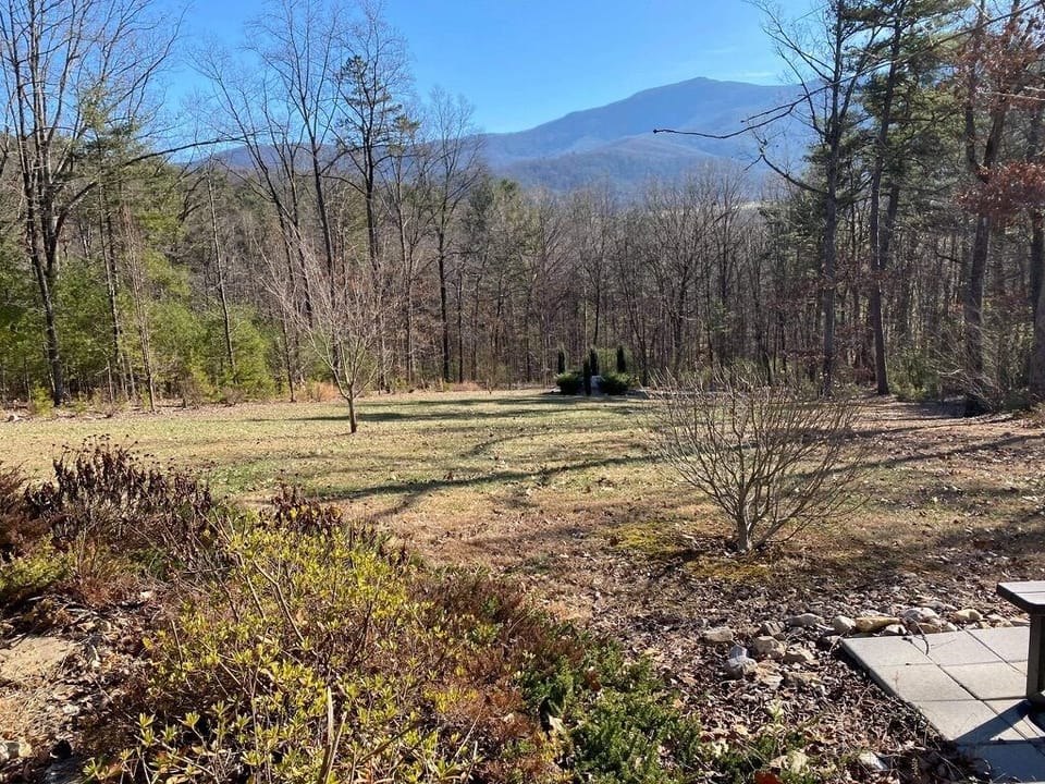 An expansive front yard with a fountain, again facing the mountains!