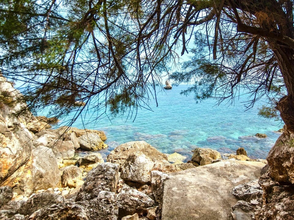 Water, Sky, Wood, Natural Landscape, Coastal And Oceanic Landforms, Trunk, Plant, Terrain, Tree, Bank