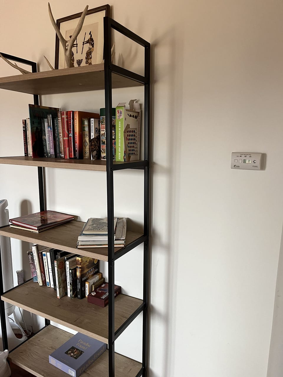 Bookshelf of vacation reads