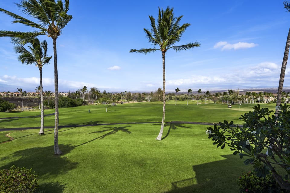 Golf Views