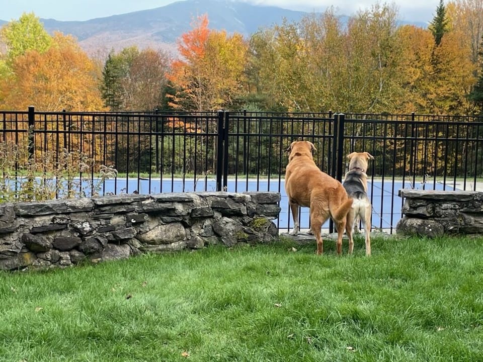 This truly one-of-a-kind, dog-friendly home is steeped in history