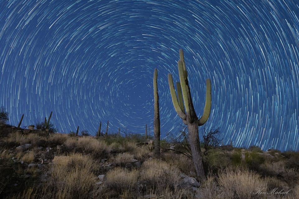 Saguaro National Park, by Ken Michael (one of our previous guests!)