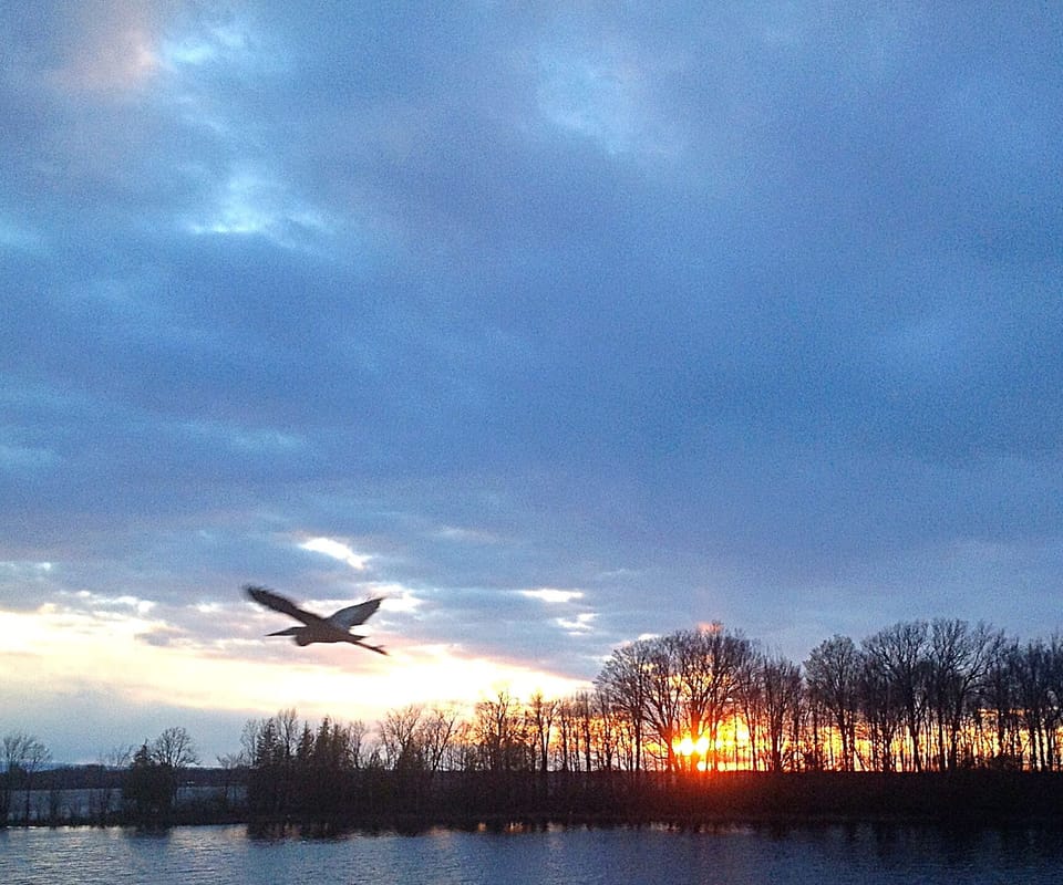 Welcome to Carry Bay