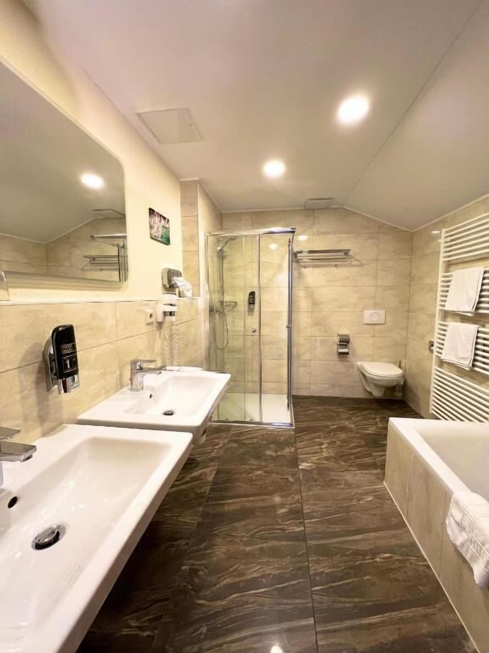Deluxe Double Room | Bathroom | Shower, free toiletries, hair dryer, towels