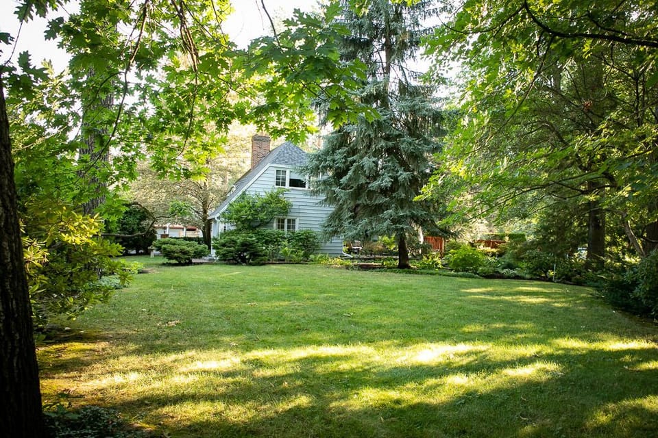 Huge Nature Inspired Yard