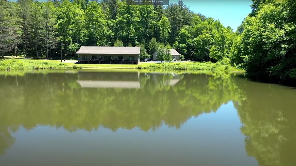 View from lake