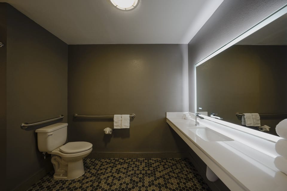Suite, 1 Queen Bed, Roll-in Shower (Mobility Accessible) | In-room safe, desk, laptop workspace, iron/ironing board