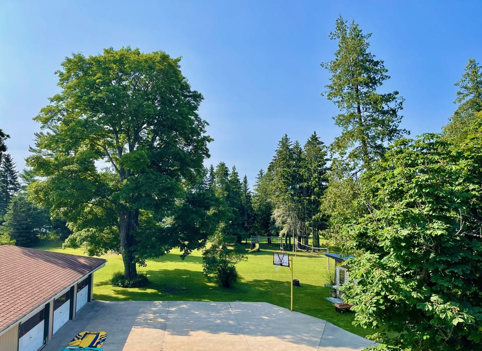 Overview of the yard with mature trees and basketball net