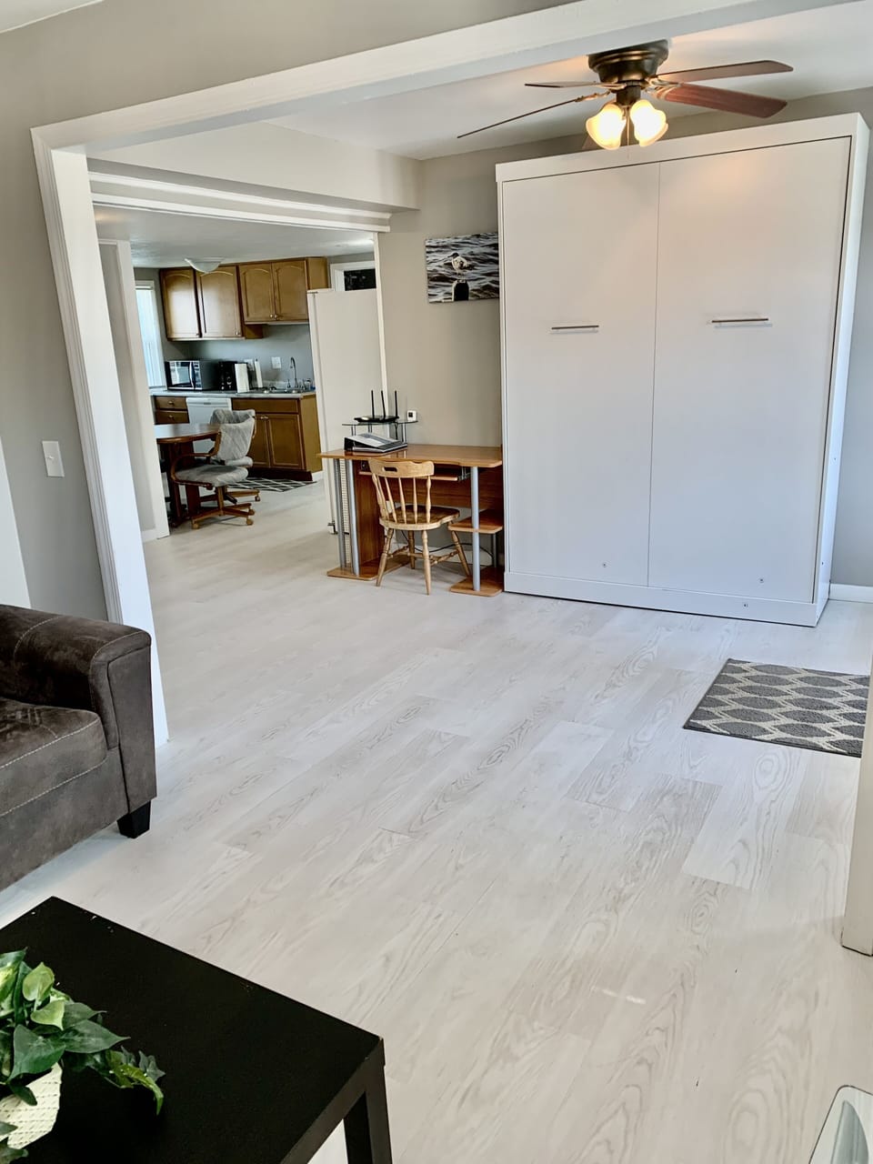 Common Area and Queen Murphy Bed