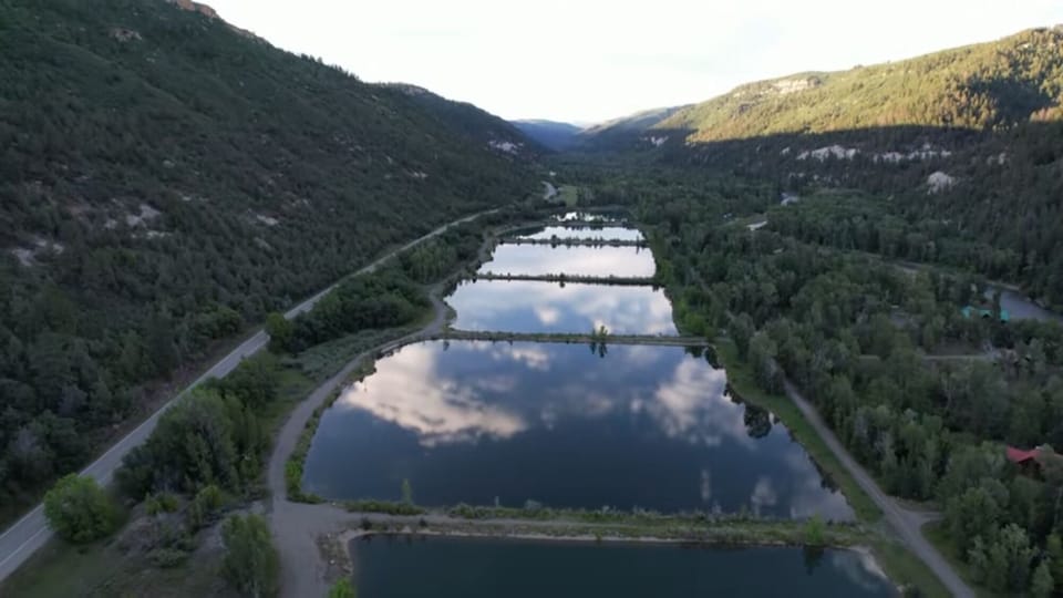 Twin Spruce Fishing.