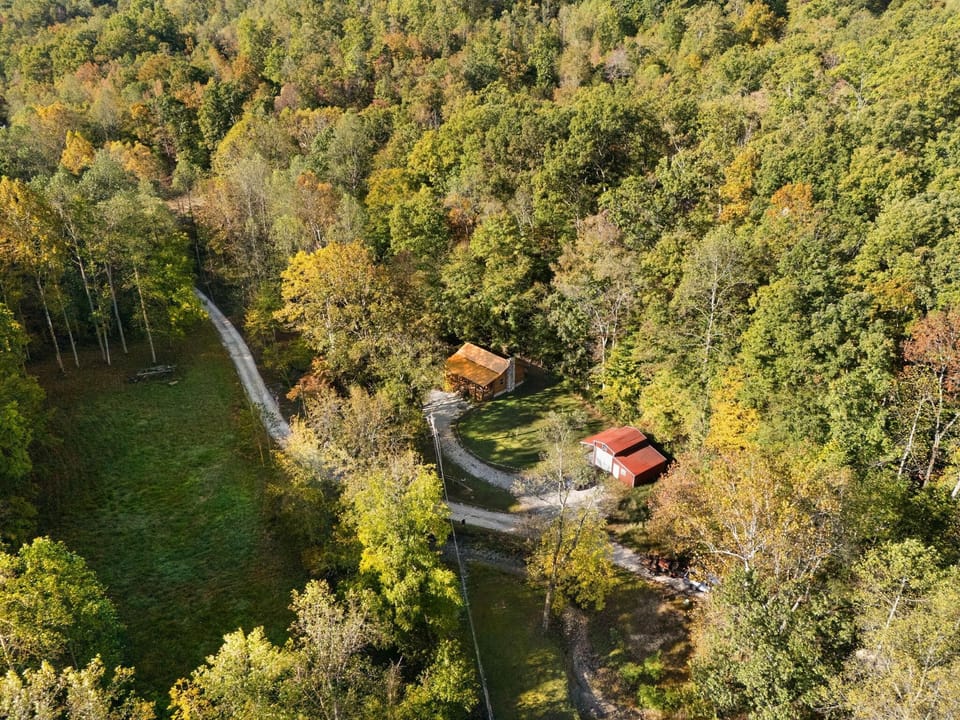 Secluded cabin retreat surrounded by vibrant autumn woods