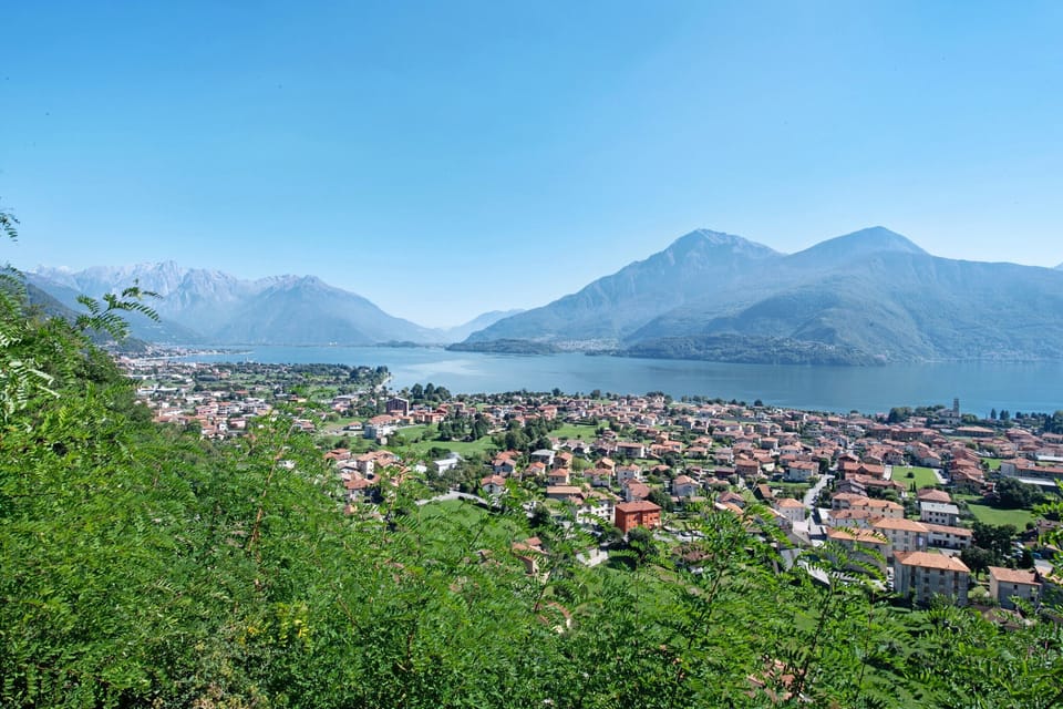 Miscellaneous