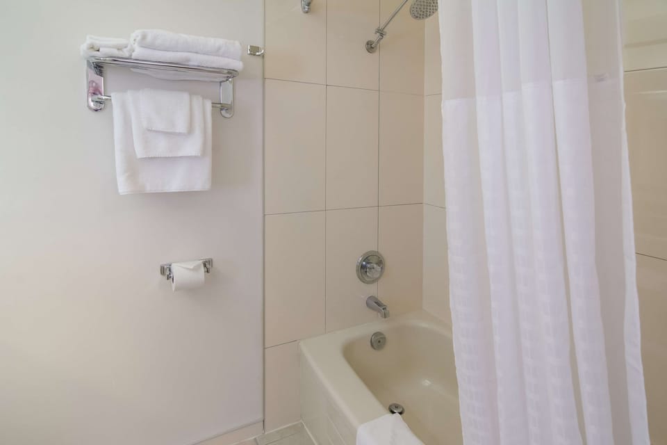 Combined shower/tub, free toiletries, hair dryer, towels