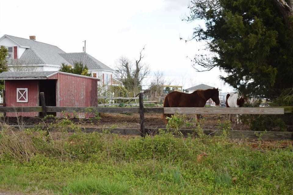 Views of neighboring ponies!