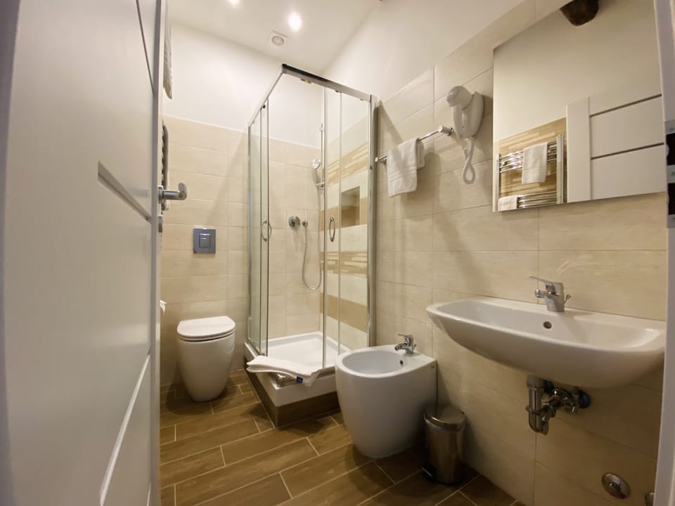 Hair dryer, bidet