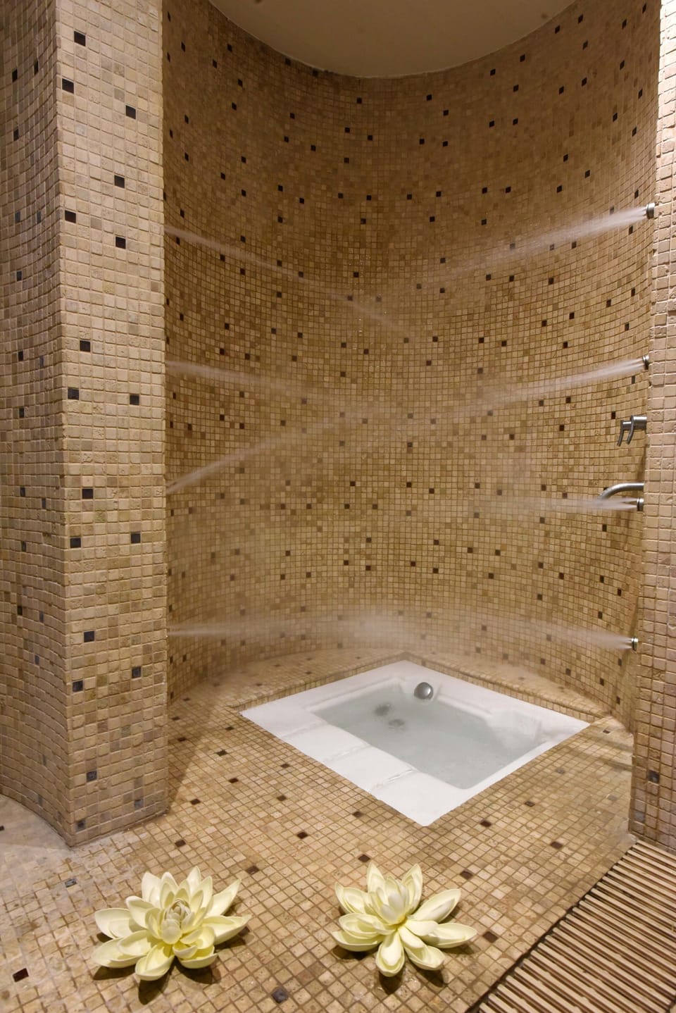 Vichy shower