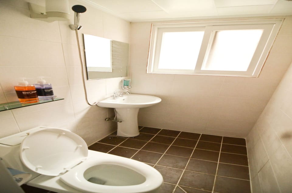 Shower, free toiletries, hair dryer, slippers