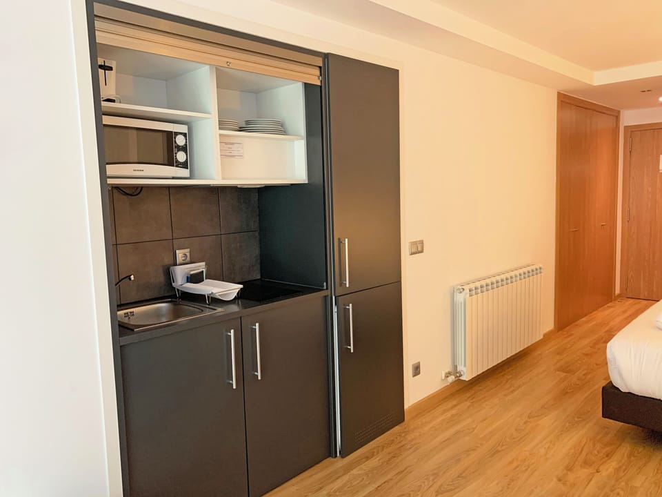 Basic Studio | Private kitchen | Fridge, microwave, stovetop, espresso maker