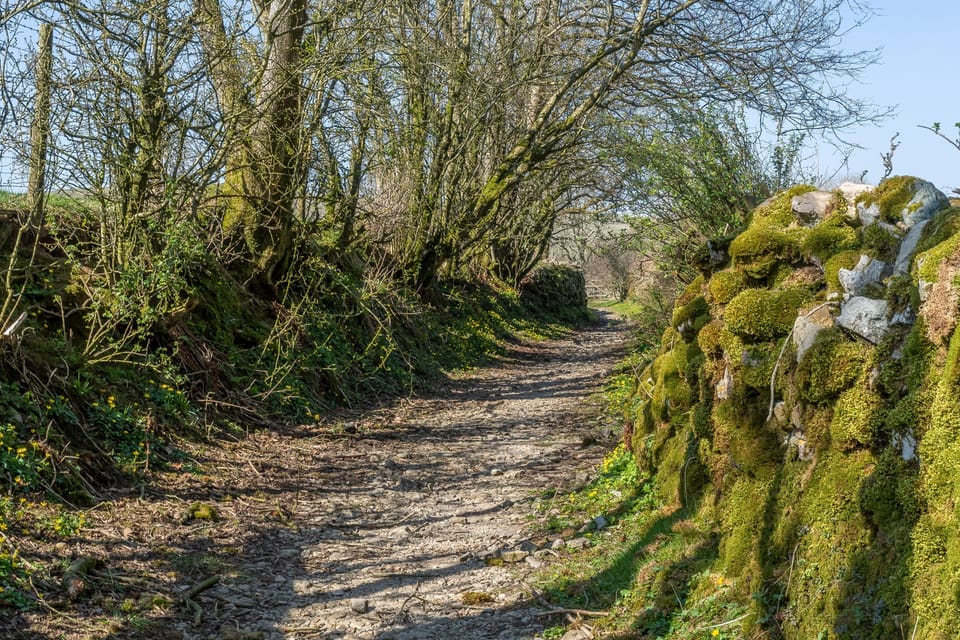 Bridle path in Orton