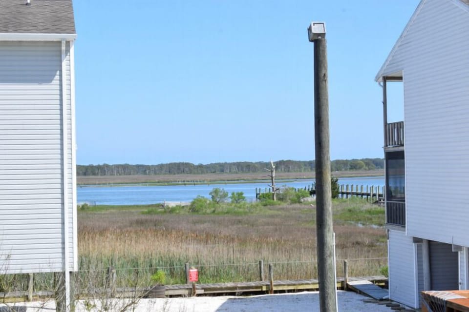 Views of Assateague Island 