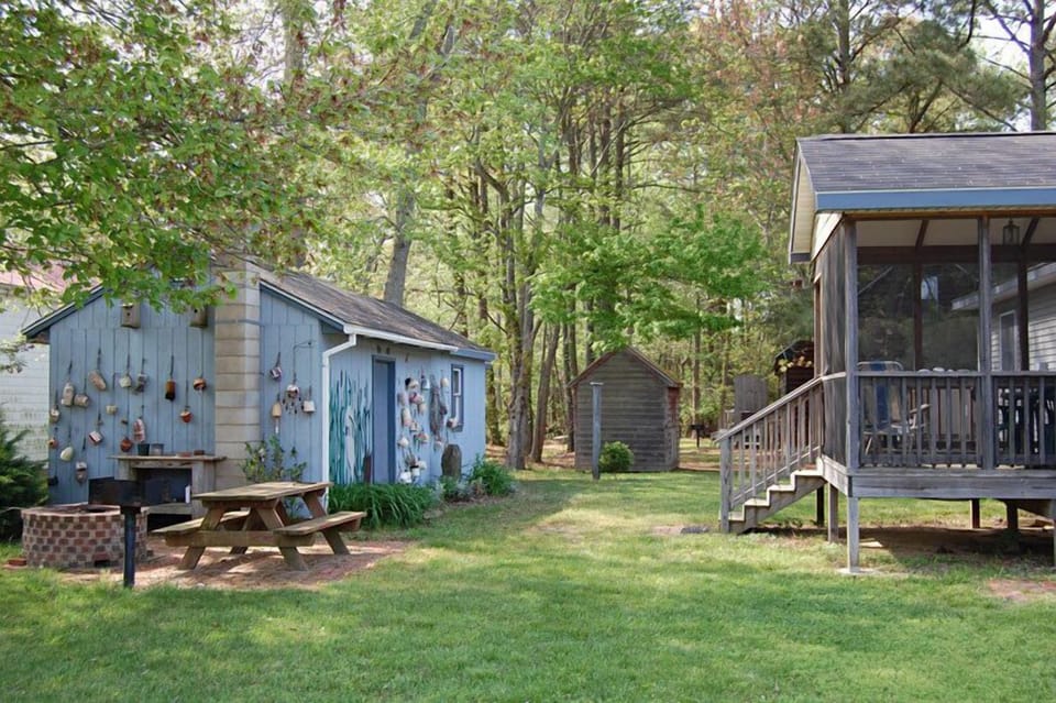 Backyard with Picnic Area, Firepit, and Grill