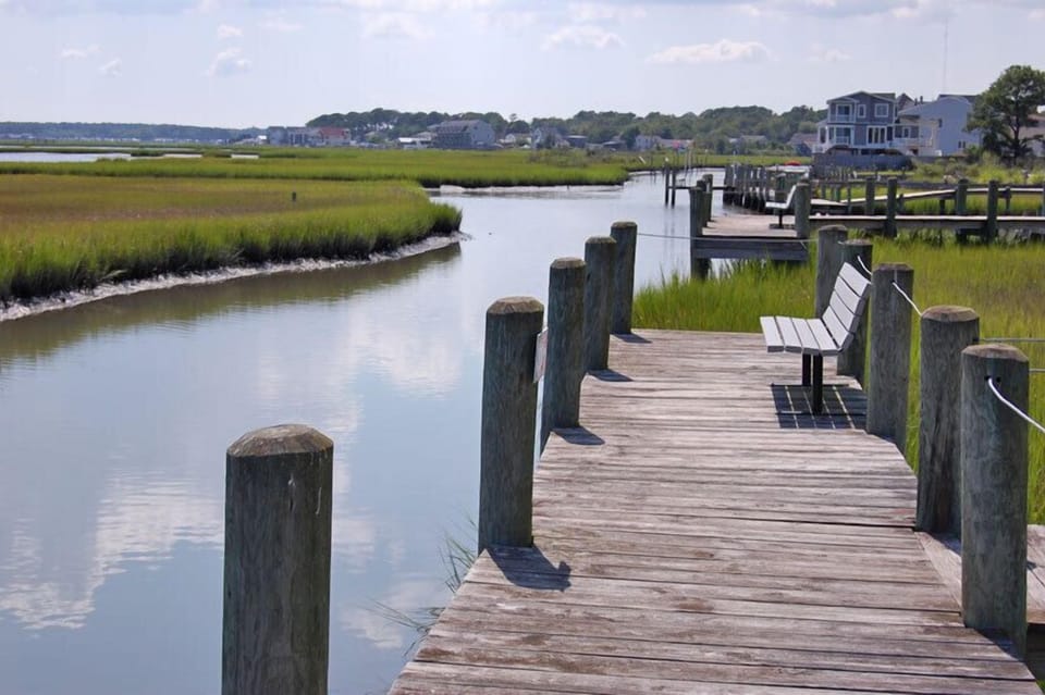Shared Pier