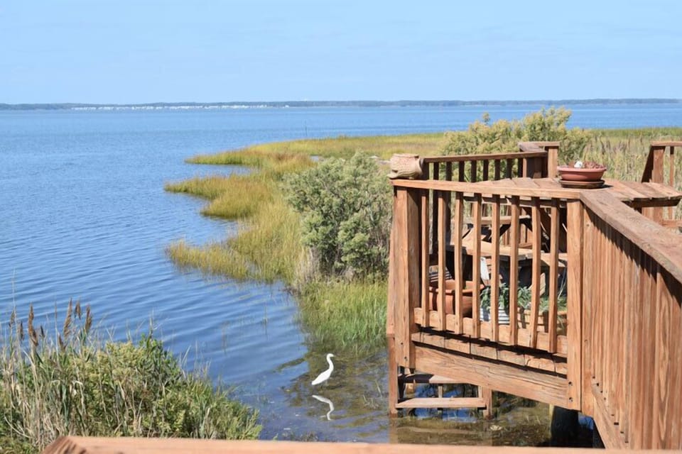Surrounded by waterviews and wetlands, perfect for birdwatching.