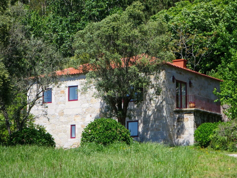 Plant, Building, Window, Natural Landscape, House, Tree, Cottage, Vegetation, Door, Facade
