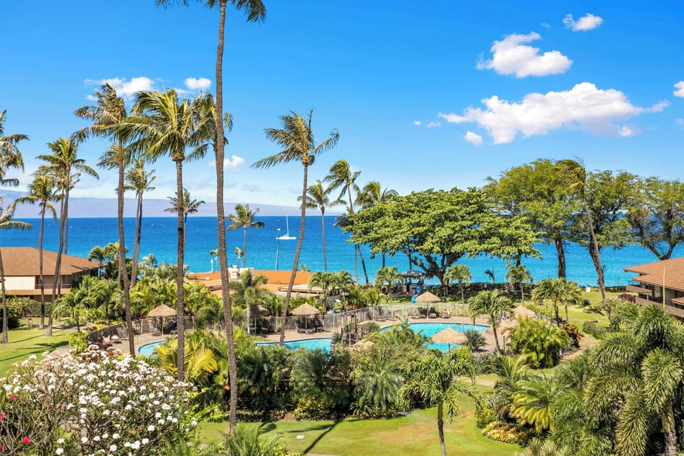 Oceanfront resort property featuring a tropical pool area, lush gardens with palm trees, and direct access to pristine turquoise waters with stunning coastal views.