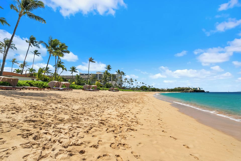 A pristine sandy beach stretches along turquoise waters, with swaying palm trees and loungers dotting the shore. Ideal location for beachside relaxation and tropical scenery.