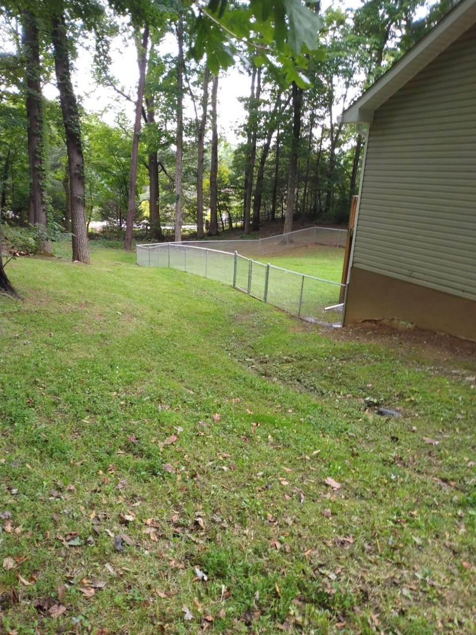 Bard Yard - Fenced in!