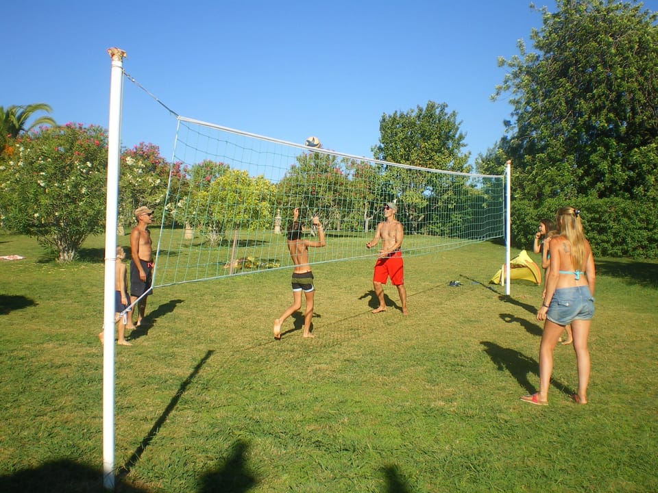 Sport court