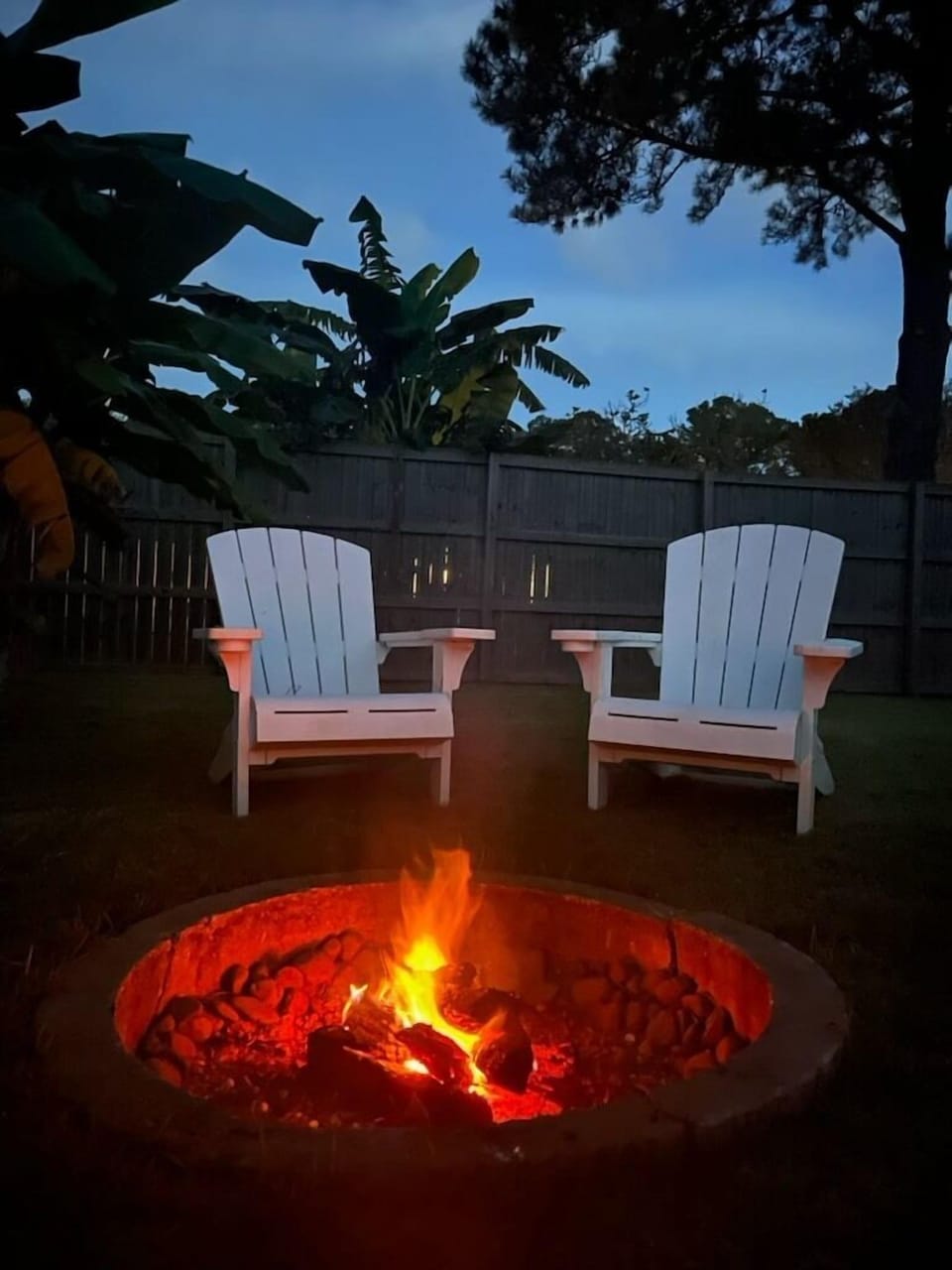 Backyard oasis!