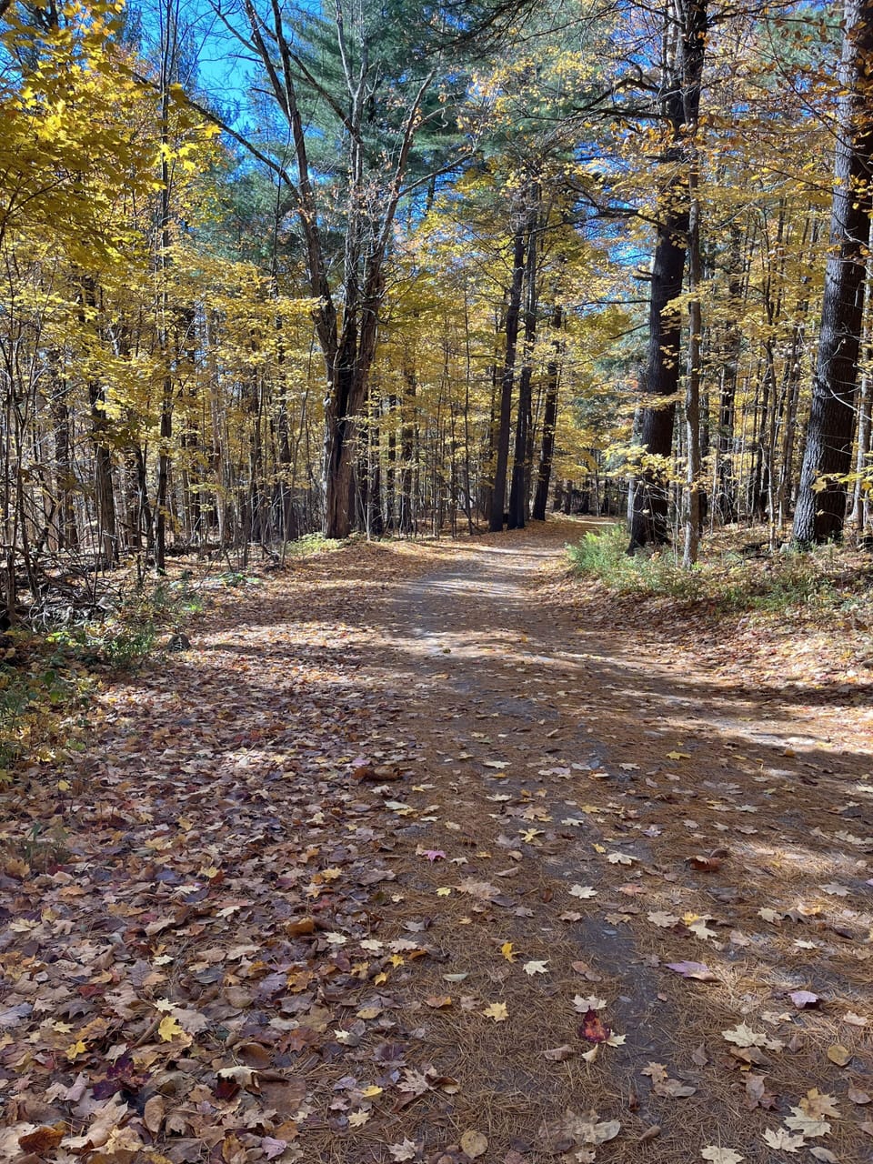 Sunset Blvd leading to Oak Hill
